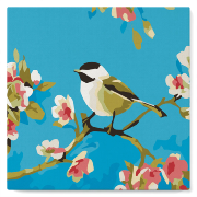 Mini-Peinture par numéros Oiseaux sur Branches Tableau 20x20 avec Cadre Figure d'Art