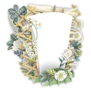 Carte 3D Fleurs Blanches Happy Birthday 16x16 Décor en relief avec enveloppe