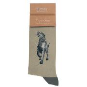 Chaussettes Homme Beige Chien Labrador Bambou Taille unique 40-45 Wrendale