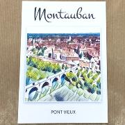 Carte postale Montauban Pont Vieux 10.5x14.8cm Collection 2 Hélidée