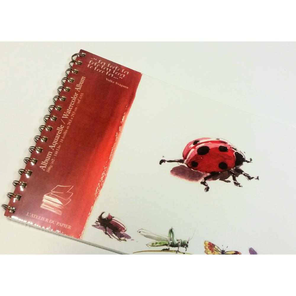 Carnet Aquarelle Coccinelle Spirale L'Atelier du Papier