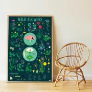 Poster Géant Découverte Botanique 72 Stickers 7 ans et + Poppik