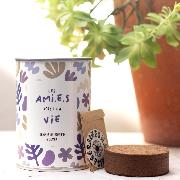 Kit à semer Les Ami.e.s C'est la Vie Graines de Fleurs Terre Pot Mauvaises Graines