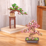 Maquette Bois Bonsaï en Pot Evergreen Pine Bonsaï Puzzle 3D de 115 pièces TG510 Rolife