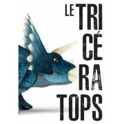 Dinosaure Tricératops en carton à construire 26cm Maquette 3D et Livre Sassi Junior