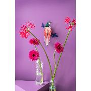 Oiseau de Paradis Rose Rani Décoration murale 3D Studioroof