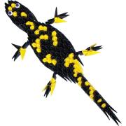 Kit pliage Origami 3D Salamandre 22x10 cm 179 modules Modular Origami ATH Press