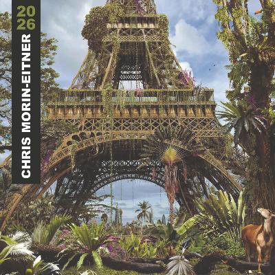 Calendrier mural 2026 Chris Morin Eitner 12 illustrations 30X30 cm Blue Art Editions