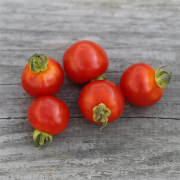 Kit Crée ton potager Semis Tomate Légumes à planter Botaki