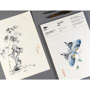 Bloc de Papier Décoré A4 Art Chinois 64 feuilles 21x29.7cm Pepin Press