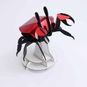 Kit de fabrication 1 Crabe 10 cm Beach Crab Assembli