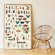 Poster Géant Découverte Les Insectes 44 Stickers 6 à 12 ans Poppik