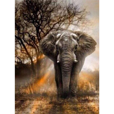 Broderie Diamant Elephant dans la Savane Toile complète roulée 40x50 Diamants carrés Figure d'Art