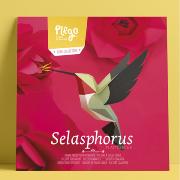 Kit de pliage Prédécoupé Colibri à queue large 23 cm Oiseau en Papier 3D Plego