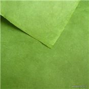 Papier népalais uni couleur Vert Prairie 50x75 cm