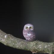 Mini-maquette Eugy Hibou 5cm à construire en Carton 3D