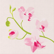 Mini-Peinture par numéros Branche d'Orchidée Tableau 20x20 cm Figure d'Art