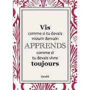 Carte postale Belles Citations Vis Apprends Vivre Toujours 15x21 cm Kiub