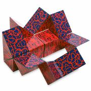 Casse-tête Dynacube 6x6x6 cm Recent Toys